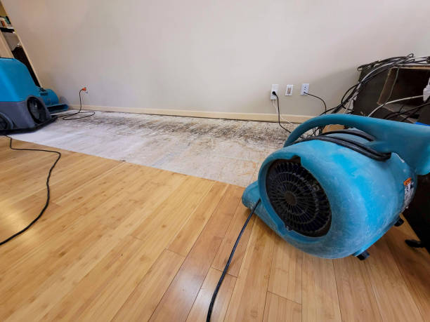 Professional Structural Drying technician working in Marathon, FL